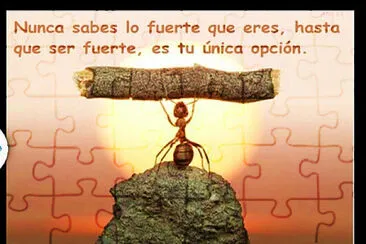 Resiliencia jigsaw puzzle