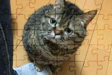 有趣圖片