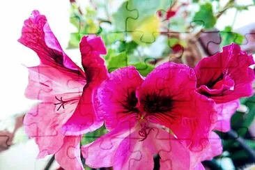 FLOWERS jigsaw puzzle