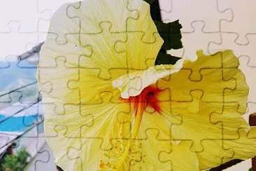 FLOWERS jigsaw puzzle