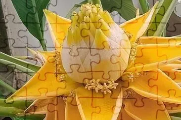 花 jigsaw puzzle
