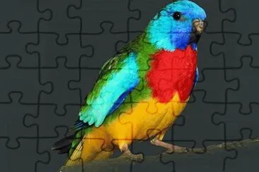 Toy jigsaw puzzle