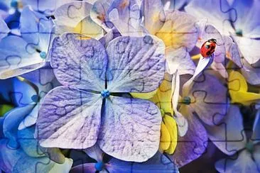 OK jigsaw puzzle