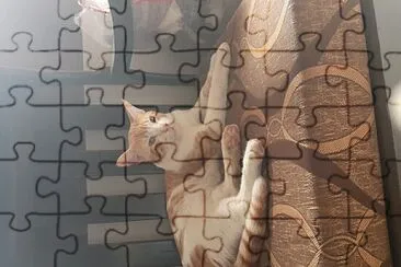 Gatito jigsaw puzzle