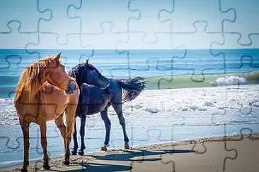 Toy jigsaw puzzle