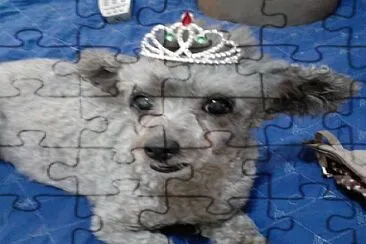 Princesa Bety. jigsaw puzzle