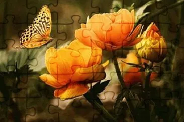 OK jigsaw puzzle