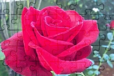 OK jigsaw puzzle