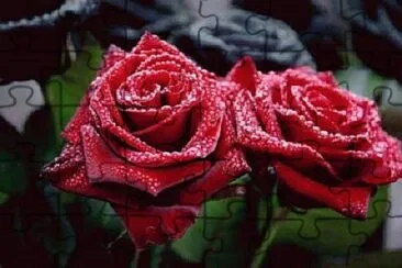 OK jigsaw puzzle