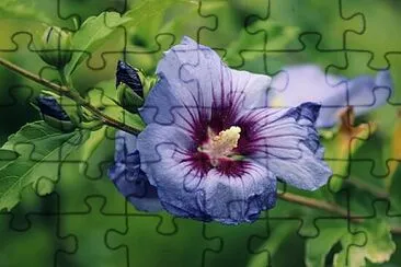 OK jigsaw puzzle