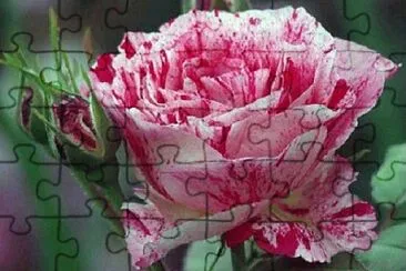 OK jigsaw puzzle