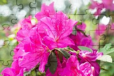 OK jigsaw puzzle