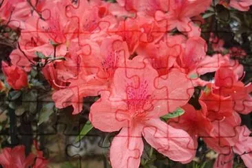 OK jigsaw puzzle