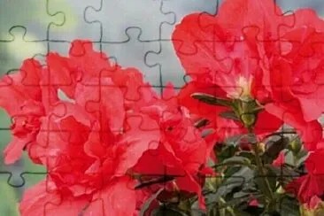 OK jigsaw puzzle
