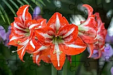 OK jigsaw puzzle