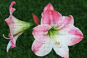 OK jigsaw puzzle