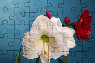 OK jigsaw puzzle