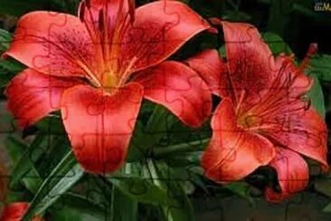 OK jigsaw puzzle