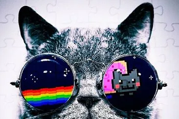 Kool Kitty