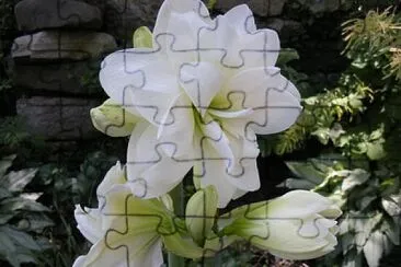 OK jigsaw puzzle