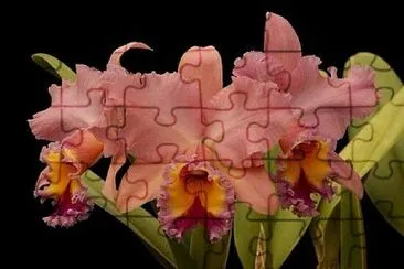 OK jigsaw puzzle