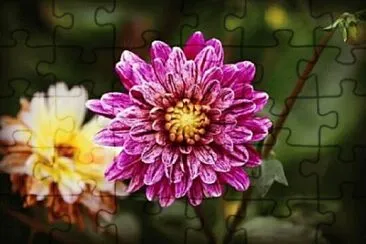 OK jigsaw puzzle