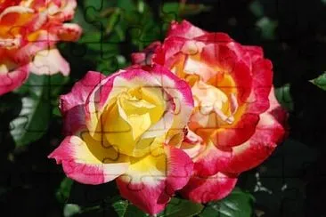 OK jigsaw puzzle
