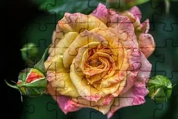 OK jigsaw puzzle