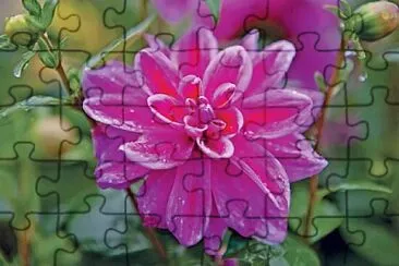 OK jigsaw puzzle