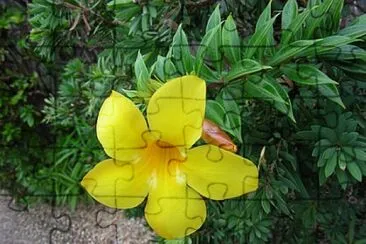 OK jigsaw puzzle
