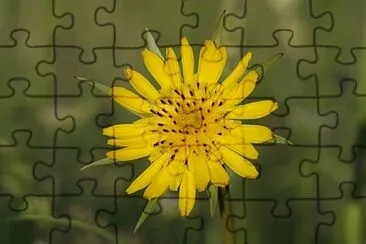 OK jigsaw puzzle