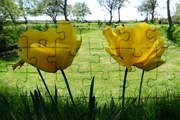 OK jigsaw puzzle