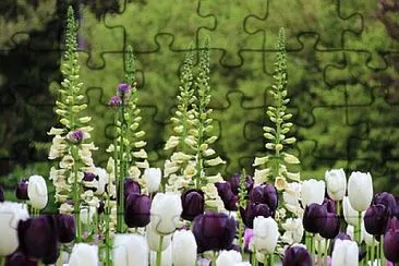 OK jigsaw puzzle