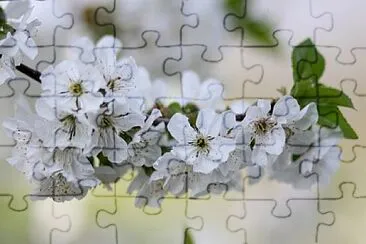 OK jigsaw puzzle