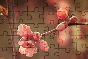 OK jigsaw puzzle