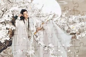Chinese actor  Xiao Zhan jigsaw puzzle