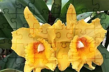 OK jigsaw puzzle