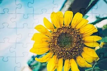 OK jigsaw puzzle