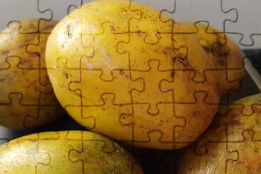a jigsaw puzzle