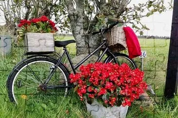 bicicleta