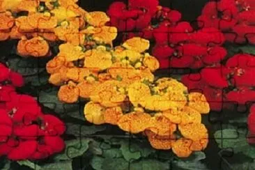 OK jigsaw puzzle