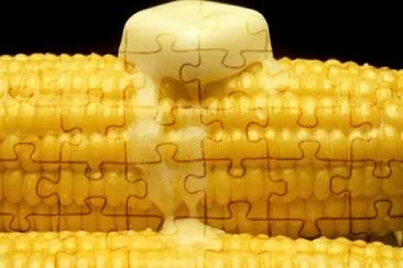 a jigsaw puzzle