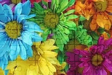 Foto jigsaw puzzle