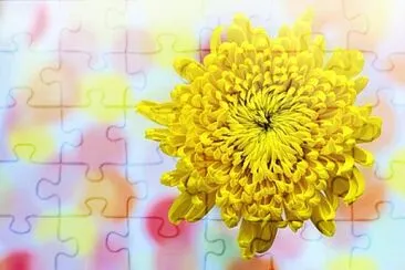 Foto jigsaw puzzle