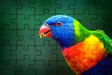 Toy jigsaw puzzle
