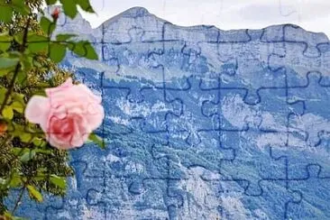 317 jigsaw puzzle