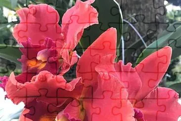 imagem jigsaw puzzle