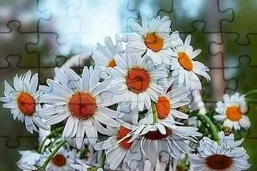 imagem jigsaw puzzle