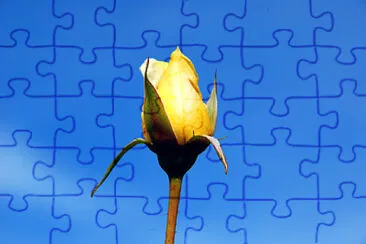 X jigsaw puzzle