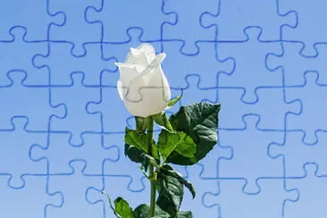 X jigsaw puzzle